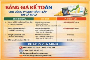 dịch vụ kế toán cho hộ kinh doanh tại cà mau