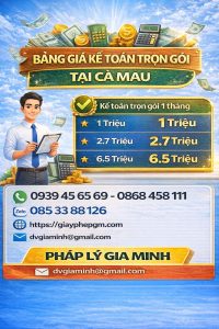 kế toán trọn gói giá rẻ tại cà mau