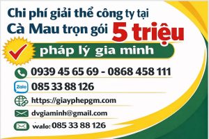 quy trình đóng mã số thuế công ty tại cà mau