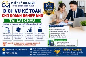 Dịch vụ kế toán cho doanh nghiệp nhỏ tại Lai Châu