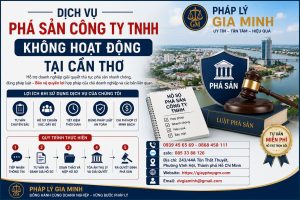 Dịch Vụ Phá Sản Công Ty TNHH Không Hoạt Động Tại Cần Thơ